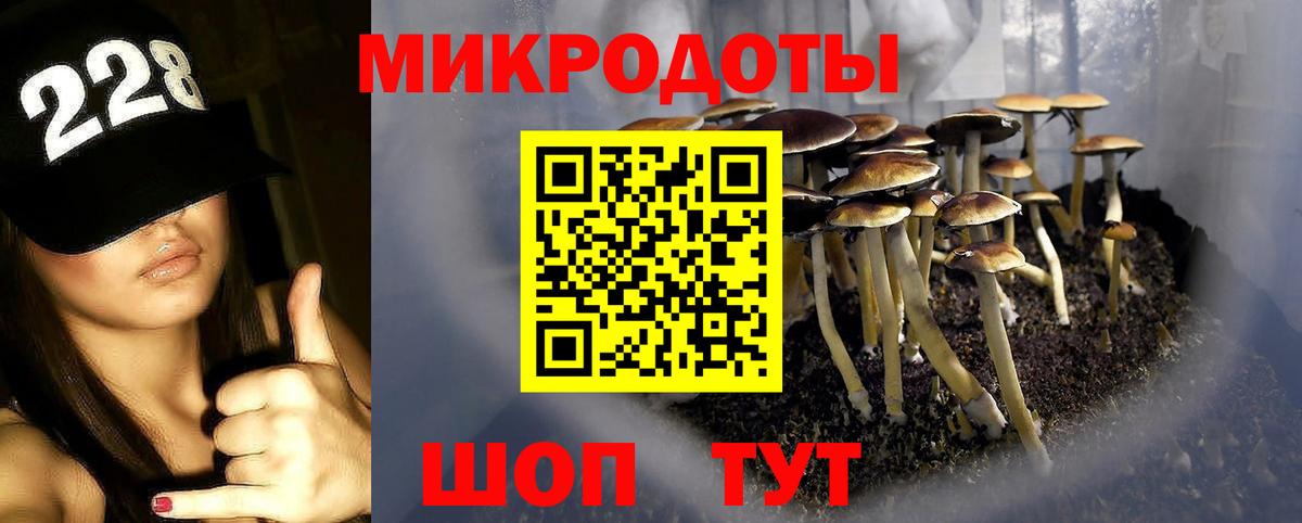 Мурино  Галлюциногенные грибы GOLDEN TEACHER  Галлюциногенные грибы Cubensis  Вход с VPN 